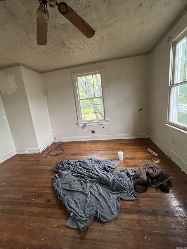 spare room featuring a textured ceiling, dark hardwood / wood-style floors, and ornamental molding