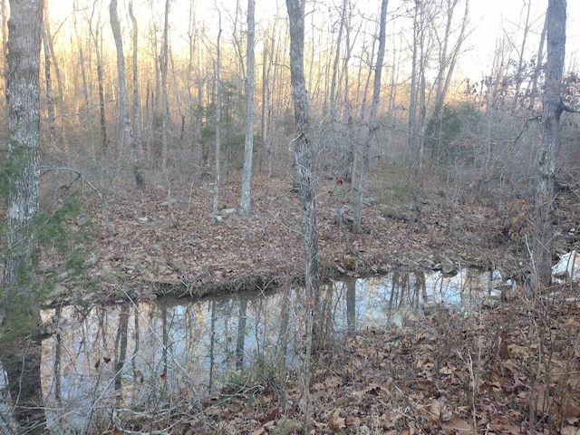 000 Monahan Rd, Mountain View, AR 72560