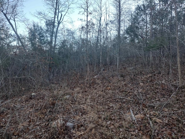 Listing photo 3 for 000 Monahan Rd, Mountain View AR 72560