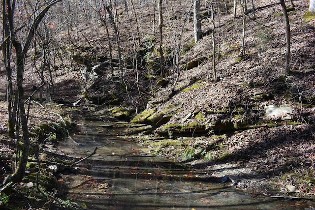 view of landscape