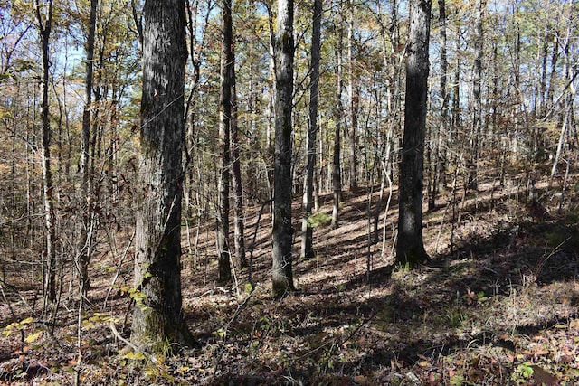 view of landscape