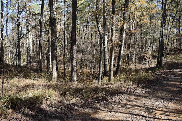 view of local wilderness