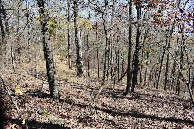 view of local wilderness