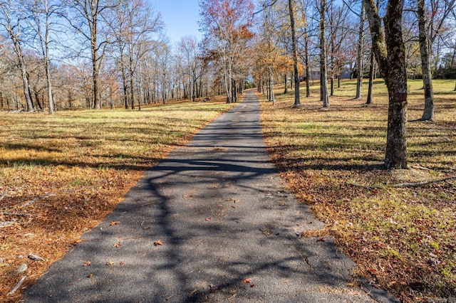 view of road