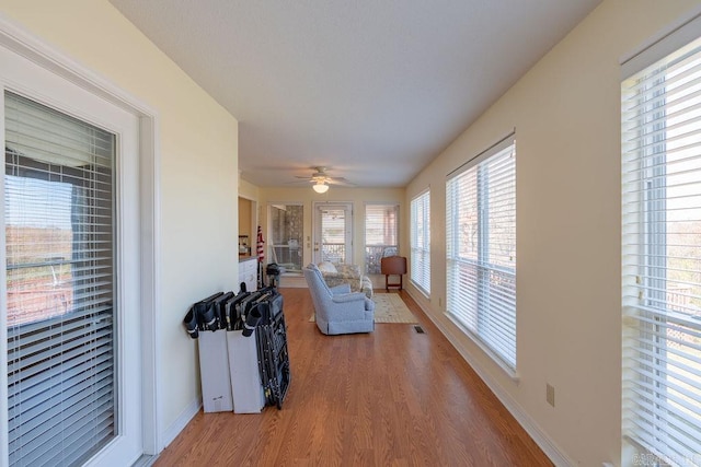 living room featuring ceiling fan and wood-type flooring