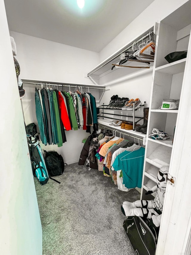 spacious closet with carpet floors