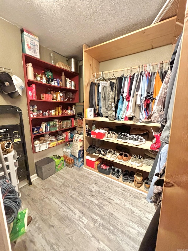 walk in closet with wood-type flooring