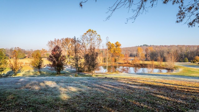 view of yard featuring a water view