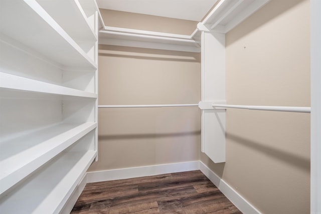 walk in closet with dark wood-type flooring