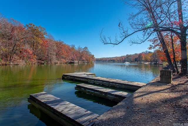 view of dock with a water view