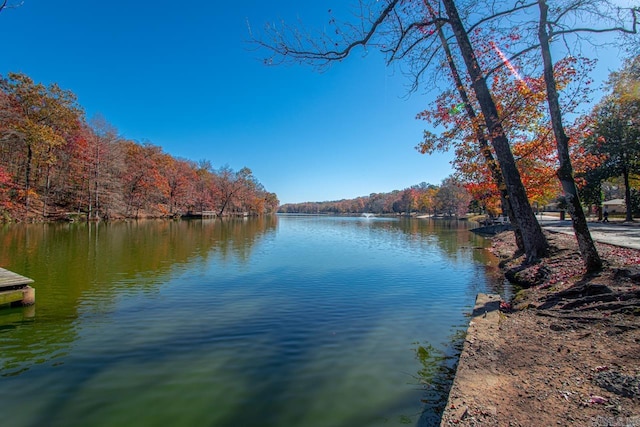 3630 Idlewild Ave, North Little Rock, AR 72116 - water view featuring a heavily wooded area