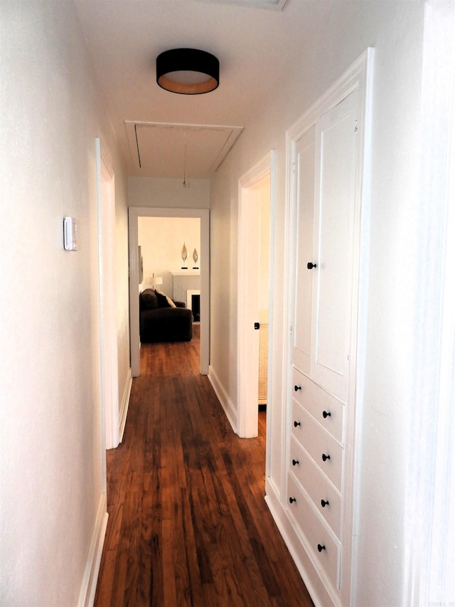 corridor featuring dark hardwood / wood-style floors