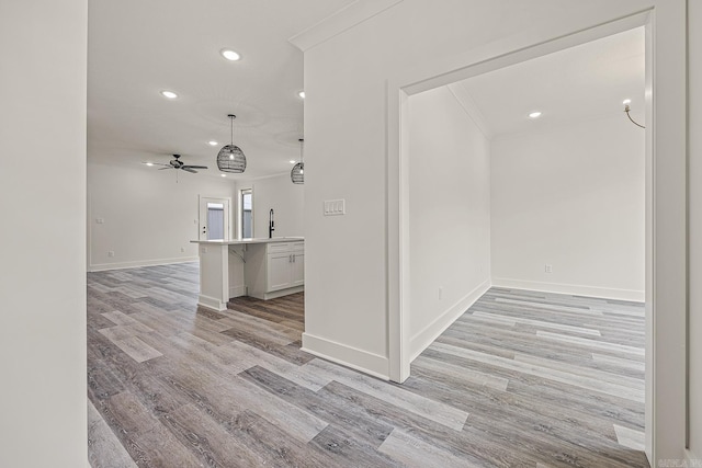 interior space with ceiling fan, light hardwood / wood-style flooring, crown molding, and sink