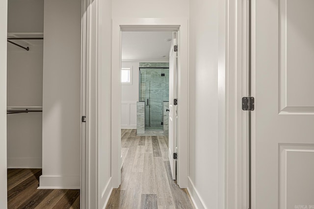 hallway featuring wood-type flooring and ornamental molding