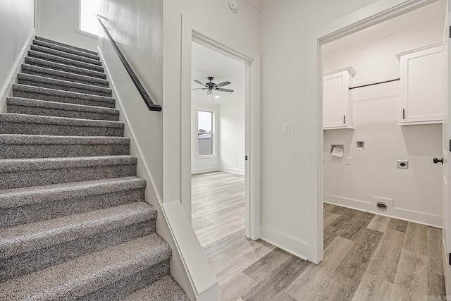 staircase with a wealth of natural light, ceiling fan, and wood-type flooring