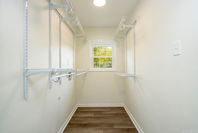 walk in closet with dark hardwood / wood-style flooring