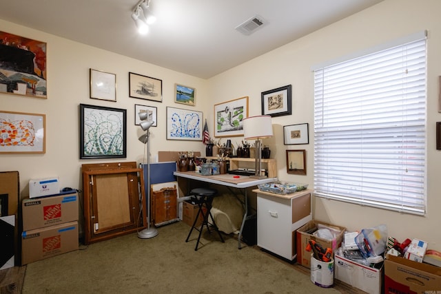 carpeted office space featuring track lighting