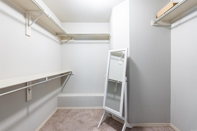 walk in closet featuring light colored carpet