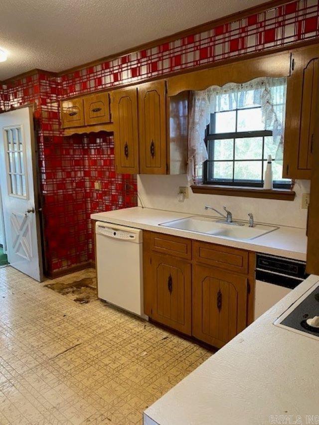 kitchen featuring cooktop, a textured ceiling, white dishwasher, sink, and dishwasher