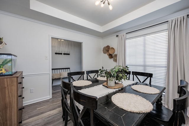 dining space with a raised ceiling and dark wood-type flooring