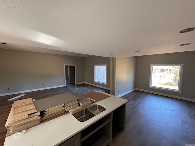 kitchen with dark hardwood / wood-style floors and sink