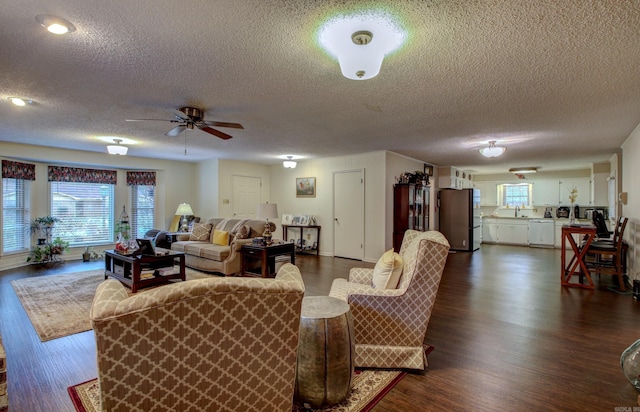 living room with a wealth of natural light, dark hardwood / wood-style floors, and a textured ceiling