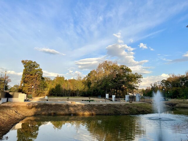 view of water feature