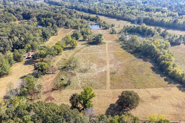 drone / aerial view featuring a rural view