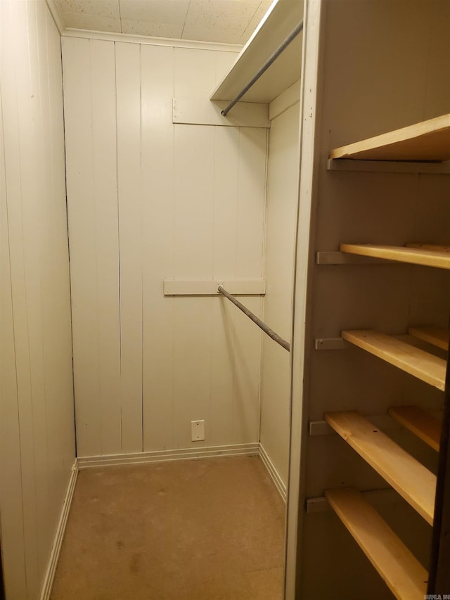 spacious closet featuring carpet