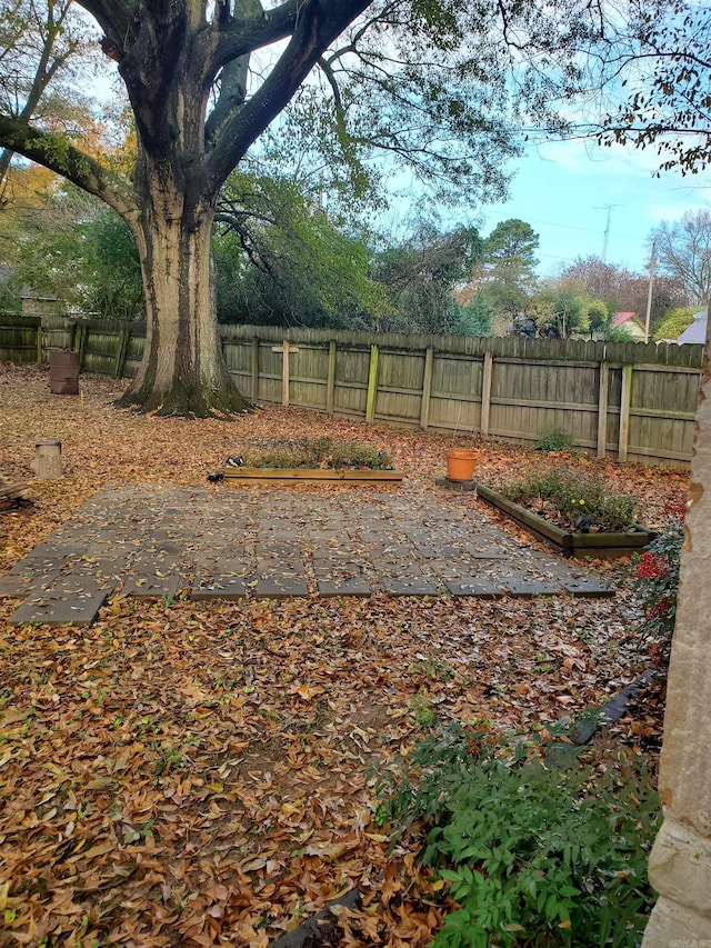 view of yard featuring a patio