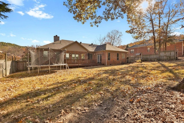 back of property with a yard and a trampoline