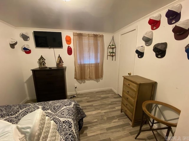 bedroom featuring wood-type flooring