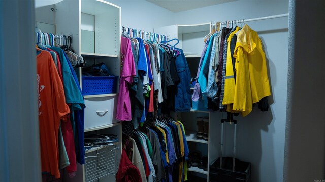 view of spacious closet