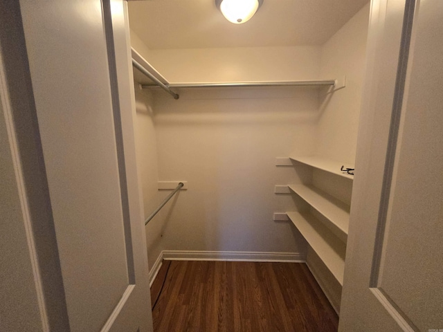 walk in closet with dark wood-type flooring