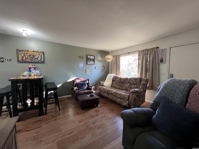 living room with wood-type flooring