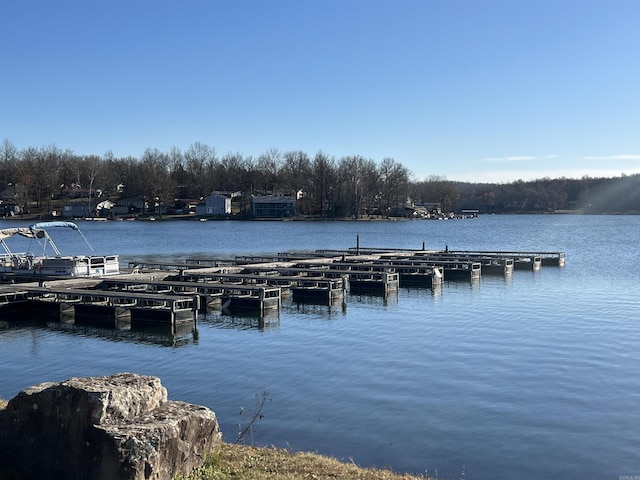 dock area with a water view