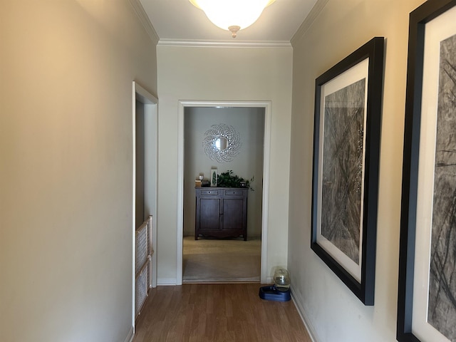 corridor featuring hardwood / wood-style floors and crown molding