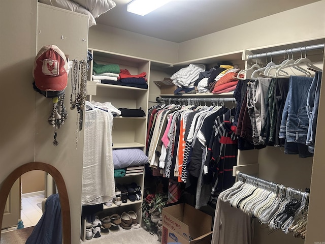 spacious closet featuring carpet flooring