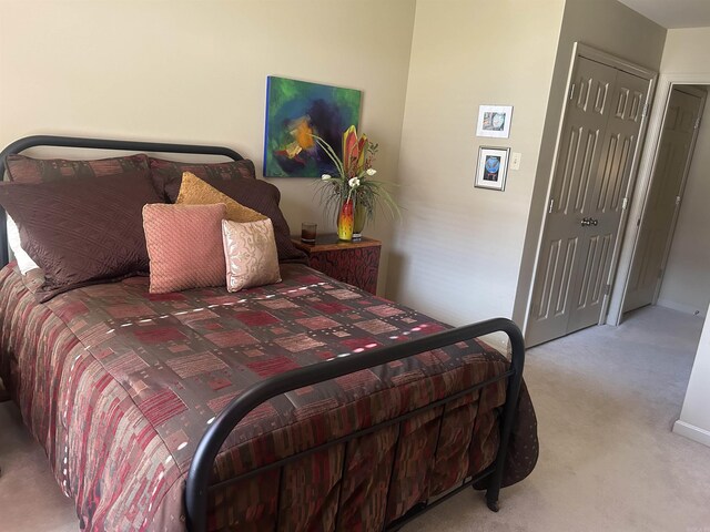 bedroom with carpet flooring and a closet