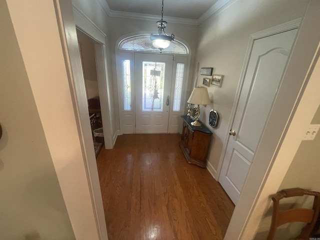 doorway featuring ornamental molding and dark wood-type flooring