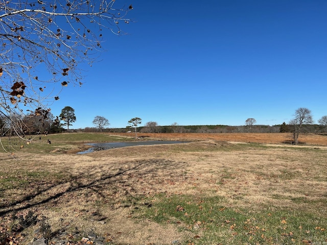 view of yard with a rural view