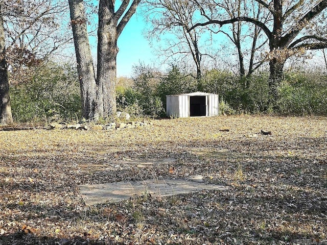 view of yard with a shed