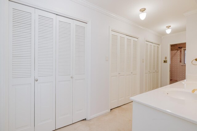 interior space with light colored carpet, sink, and ornamental molding