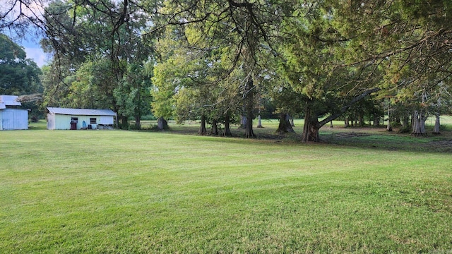 view of yard featuring an outdoor structure