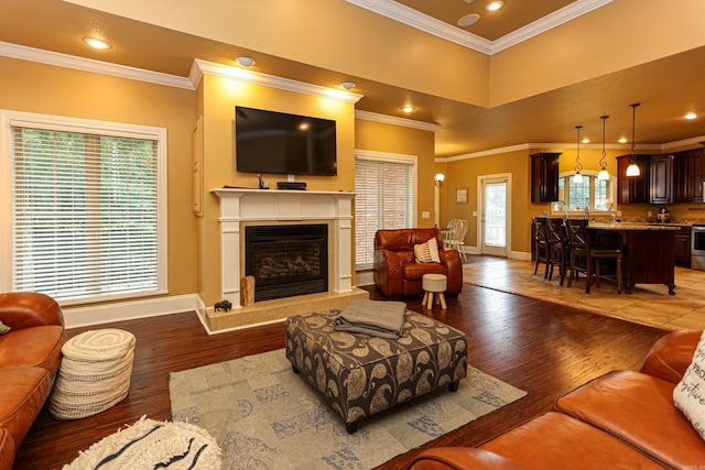 living room with wood-type flooring and ornamental molding