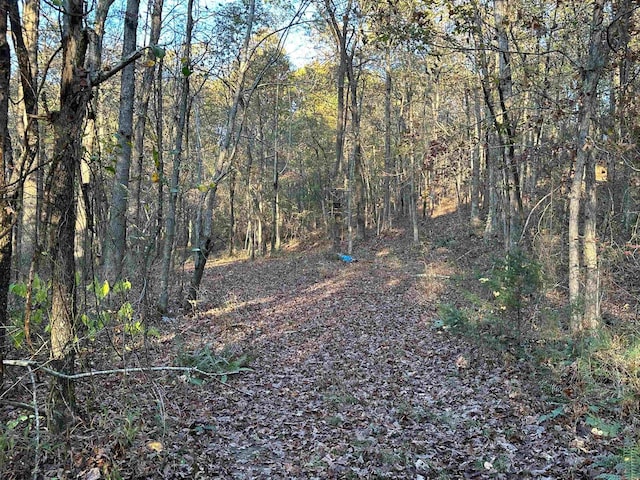 view of local wilderness