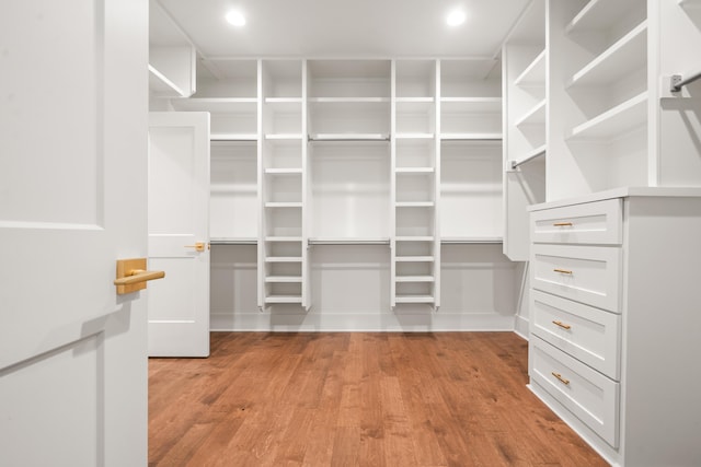 spacious closet featuring light hardwood / wood-style flooring