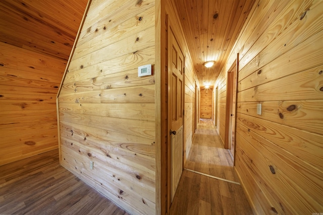 hallway with wood walls, wooden ceiling, and hardwood / wood-style flooring