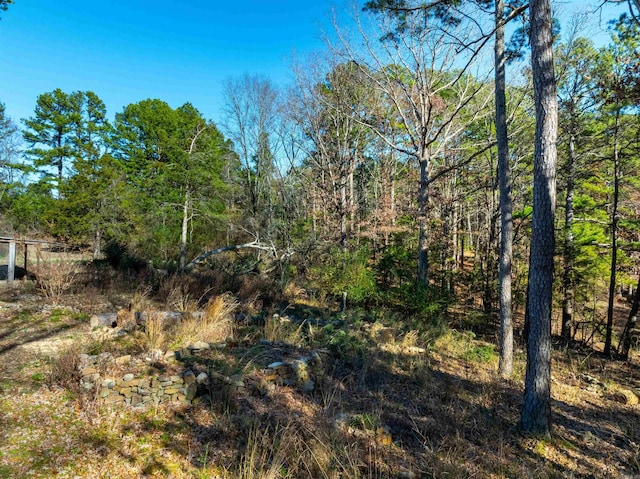 view of local wilderness