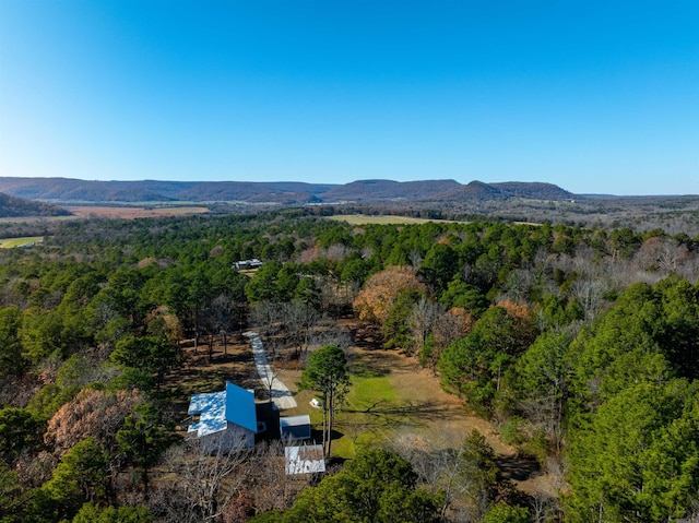 birds eye view of property featuring a mountain view